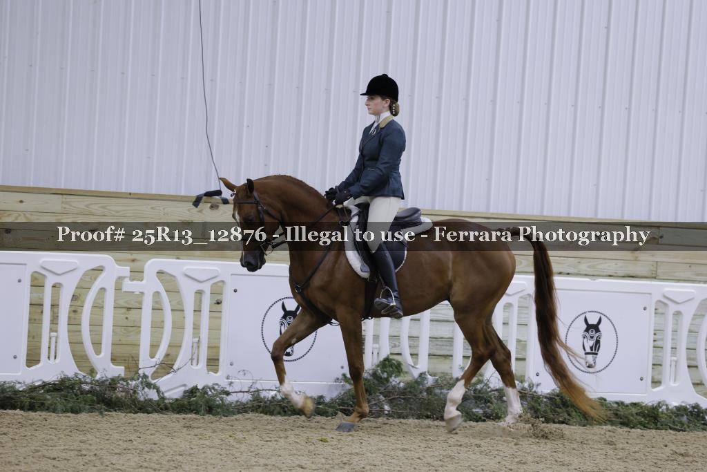 Proof 25R13_12876