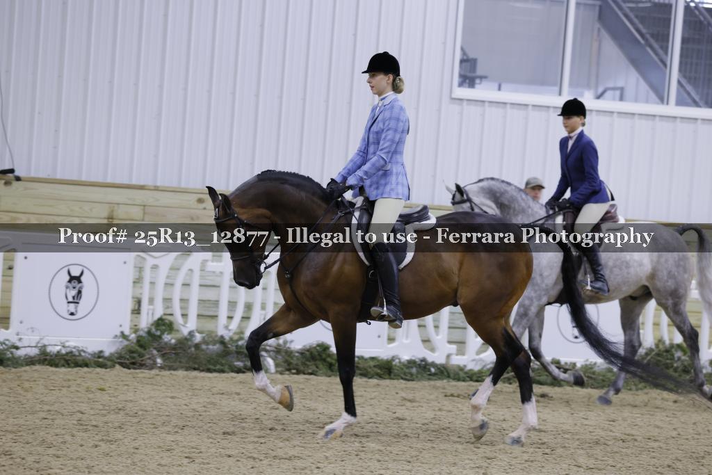 Proof 25R13_12877