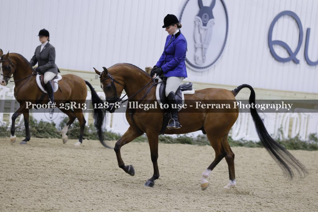Proof 25R13_12878