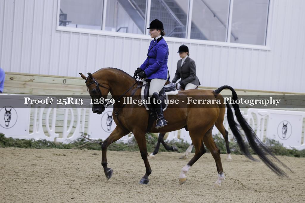 Proof 25R13_12879