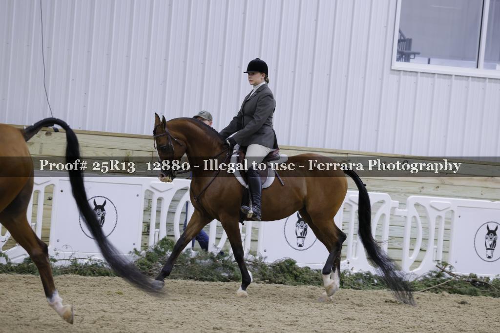 Proof 25R13_12880