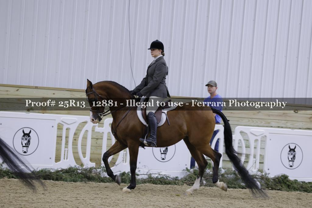 Proof 25R13_12881
