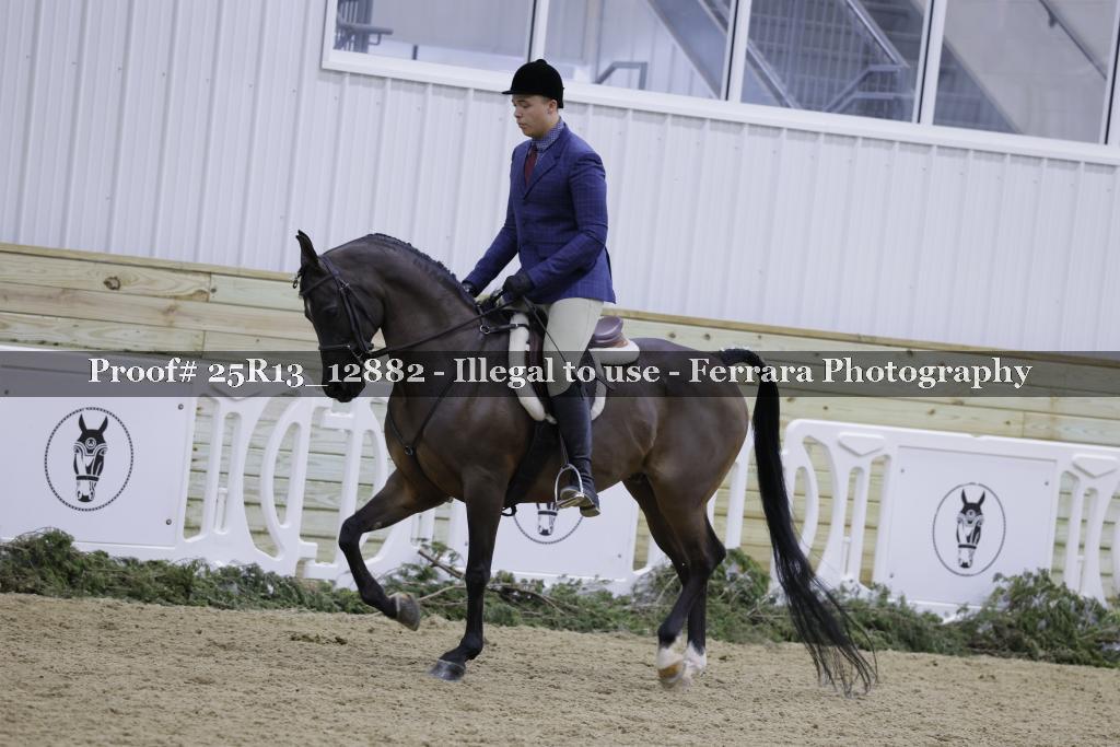 Proof 25R13_12882