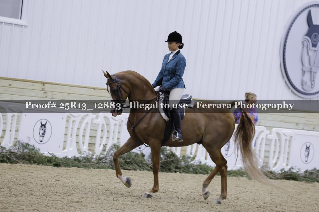 Proof 25R13_12883