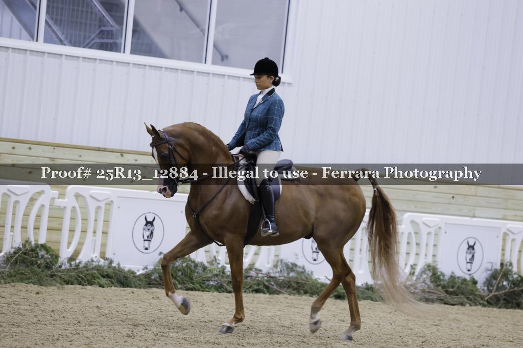 Proof 25R13_12884