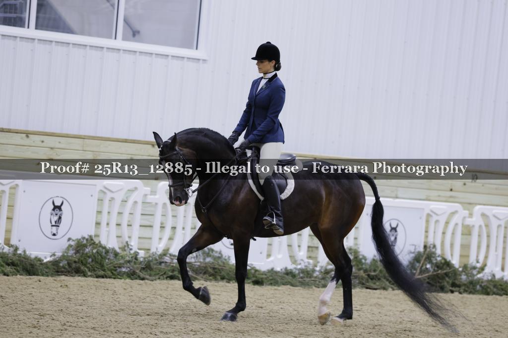 Proof 25R13_12885