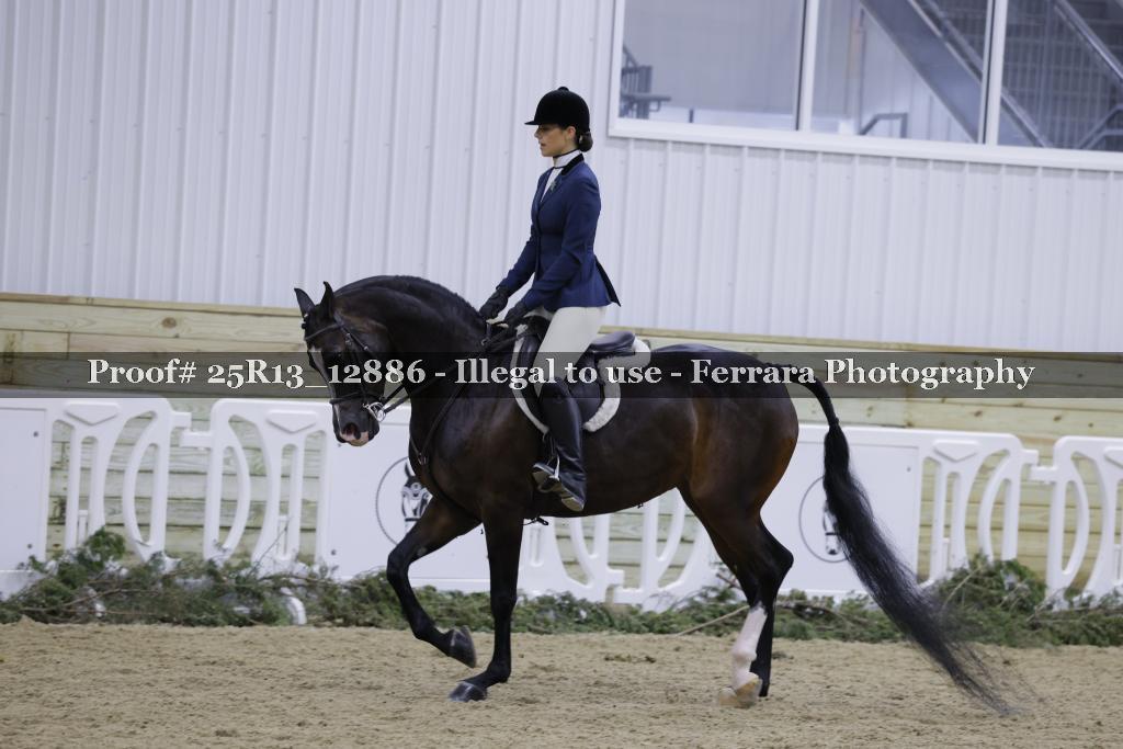 Proof 25R13_12886