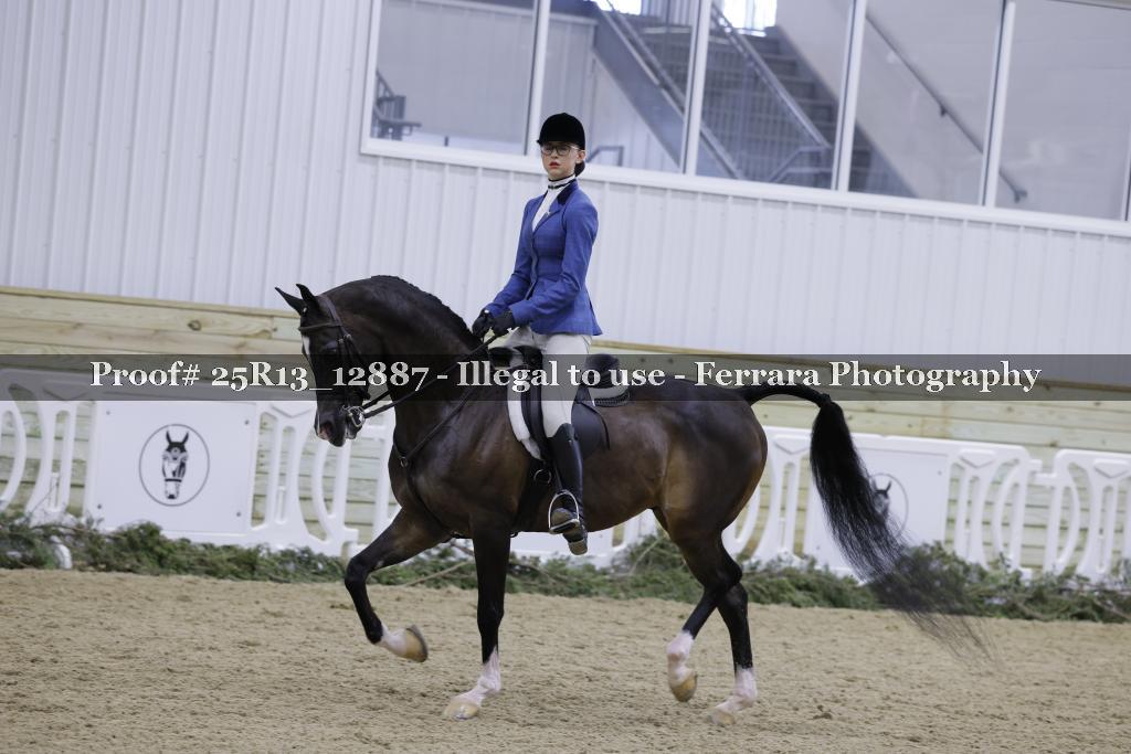 Proof 25R13_12887