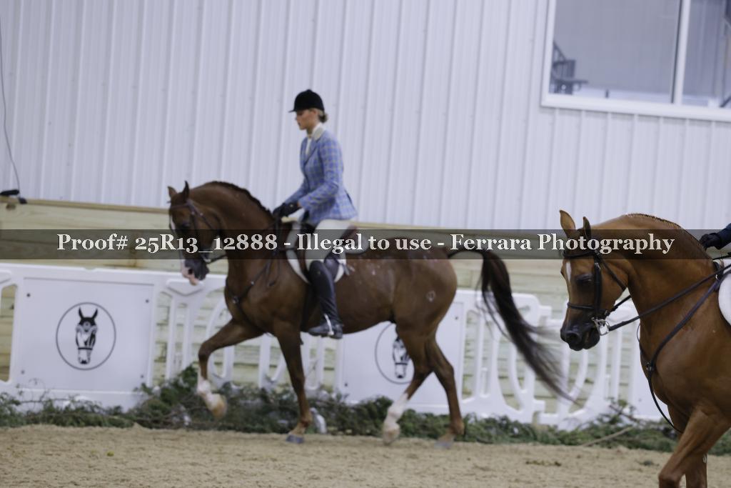 Proof 25R13_12888