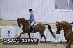 25R13_12888 proof