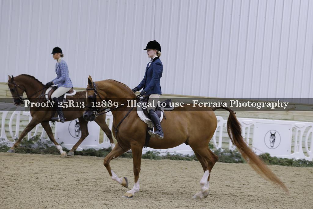 Proof 25R13_12889