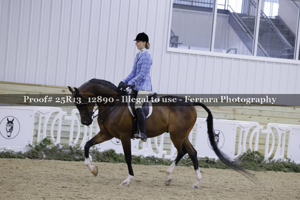 Proof 25R13_12890