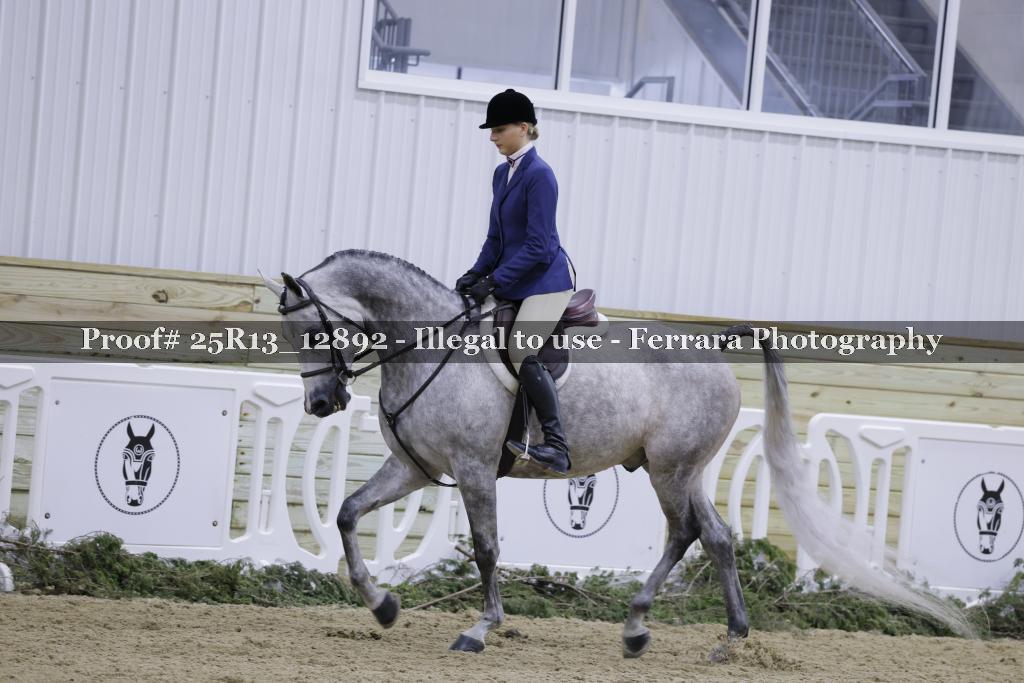 Proof 25R13_12892