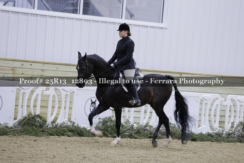 Proof 25R13_12893