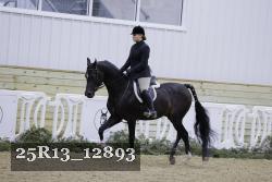 25R13_12893 proof