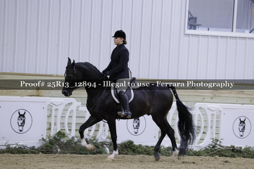Proof 25R13_12894