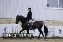25R13_12894 proof