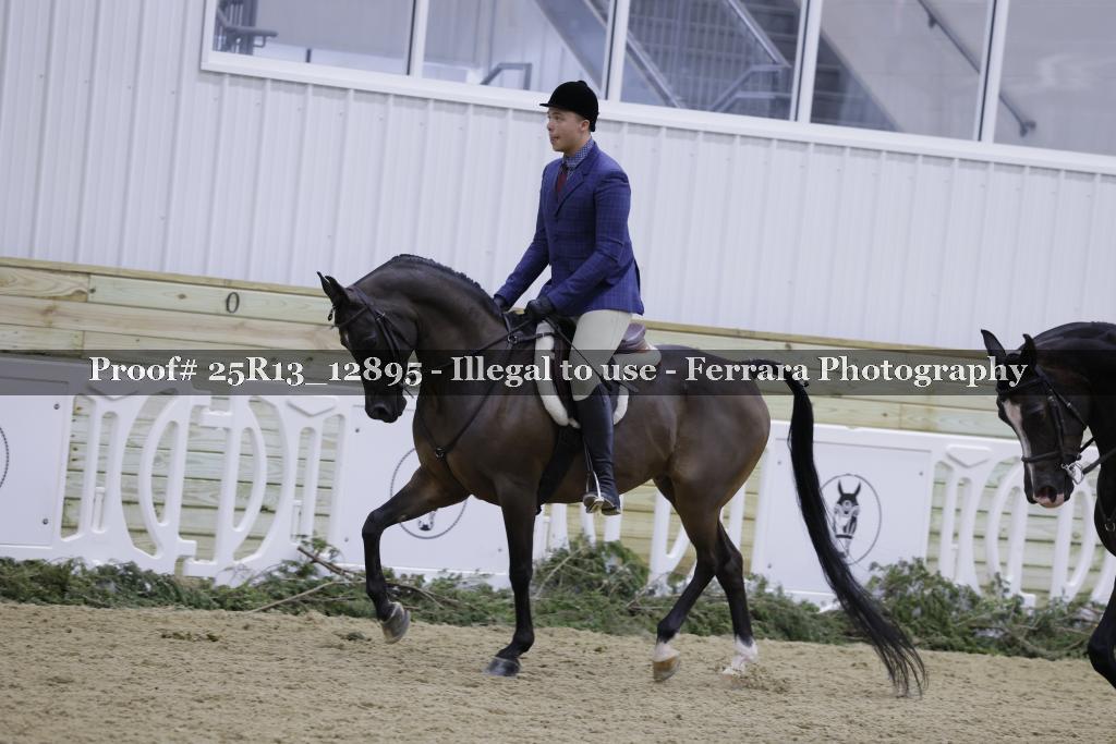 Proof 25R13_12895