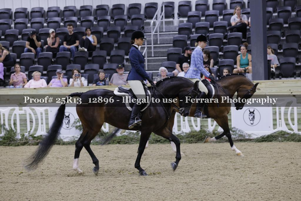 Proof 25R13_12896