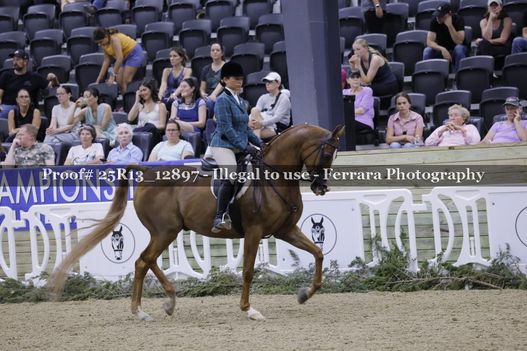 Proof 25R13_12897