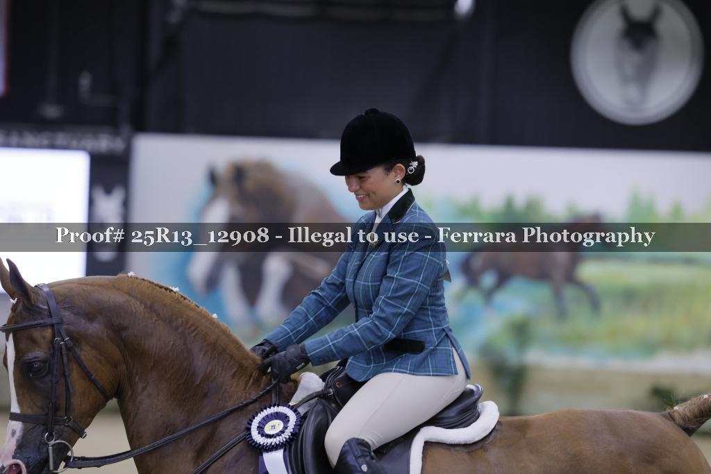 Proof 25R13_12908