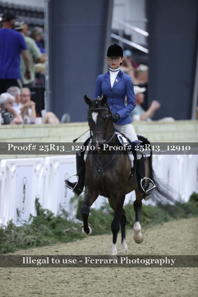Proof 25R13_12910