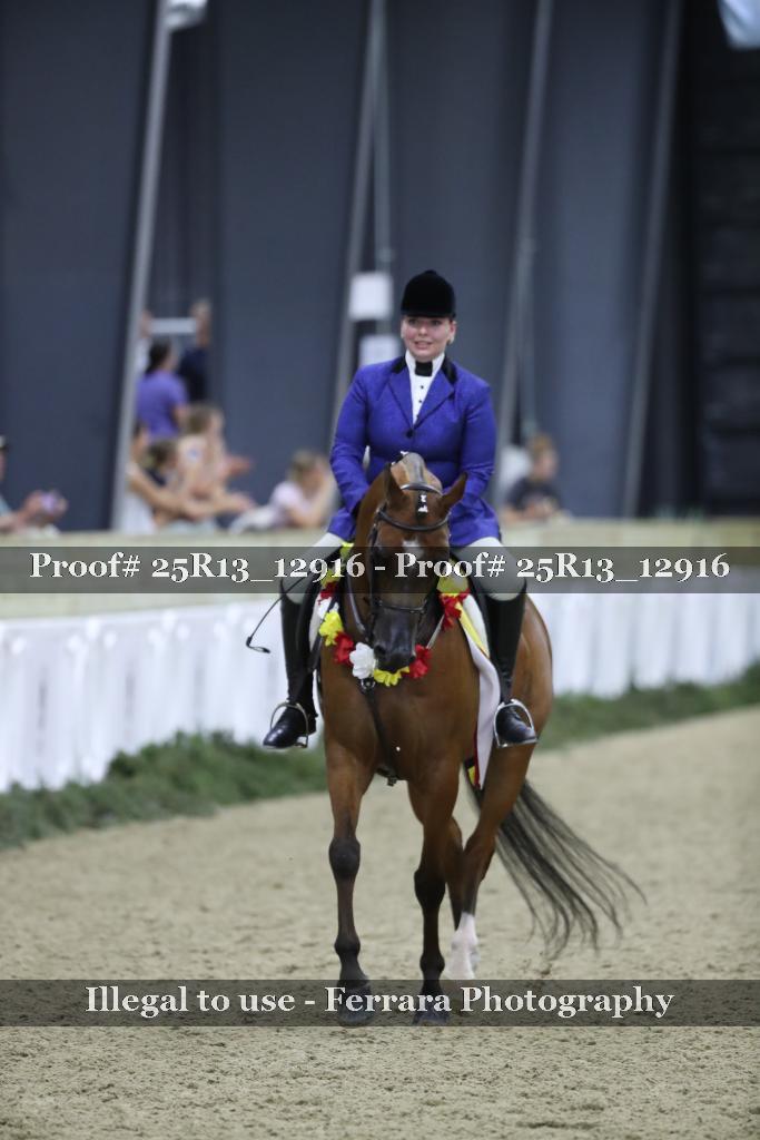 Proof 25R13_12916