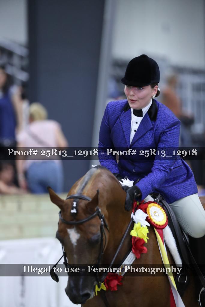 Proof 25R13_12918