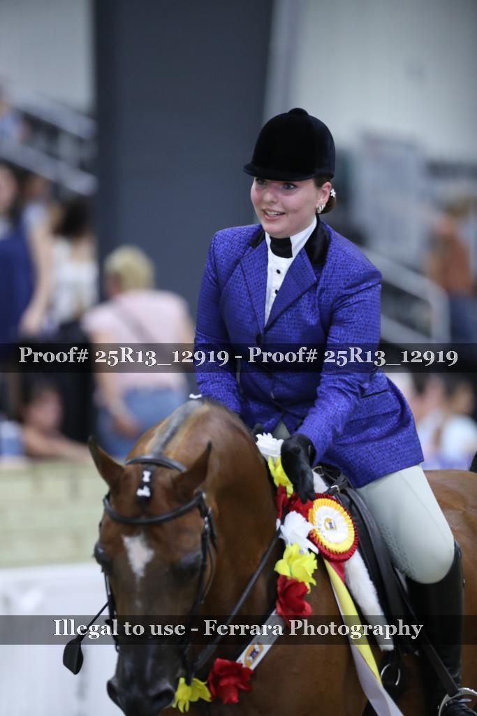 Proof 25R13_12919