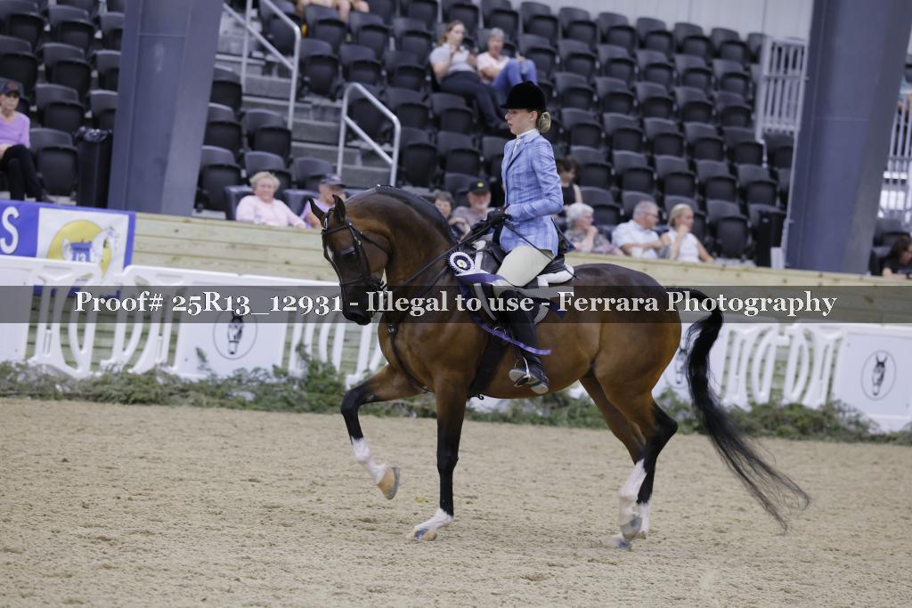 Proof 25R13_12931