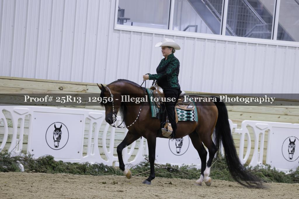 Proof 25R13_12950