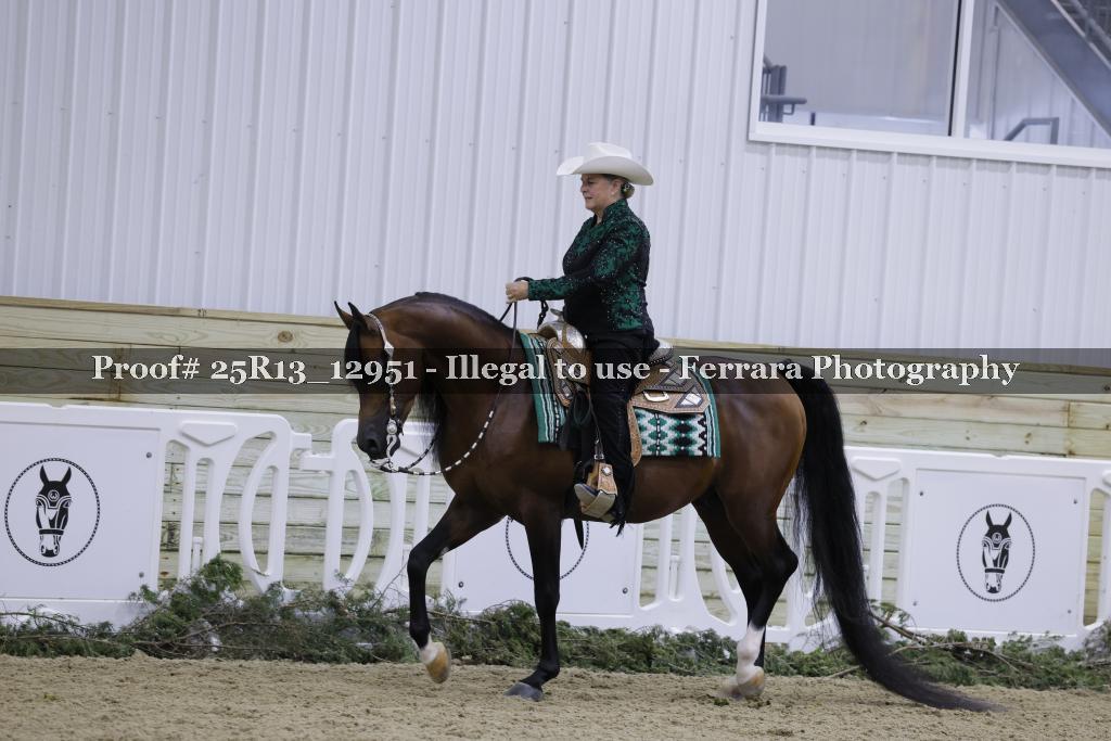 Proof 25R13_12951