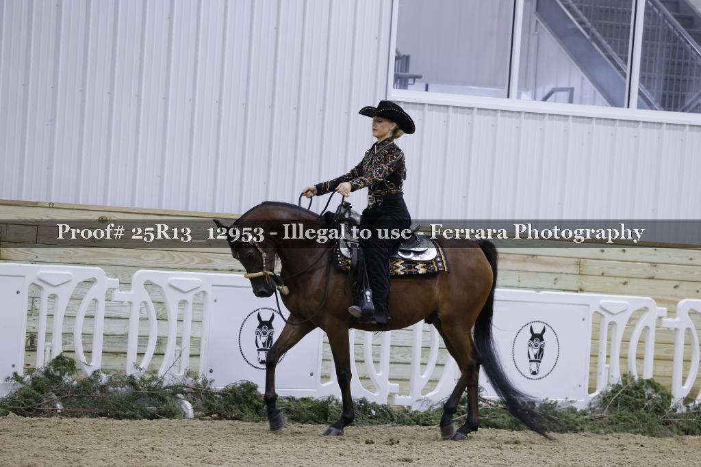 Proof 25R13_12953