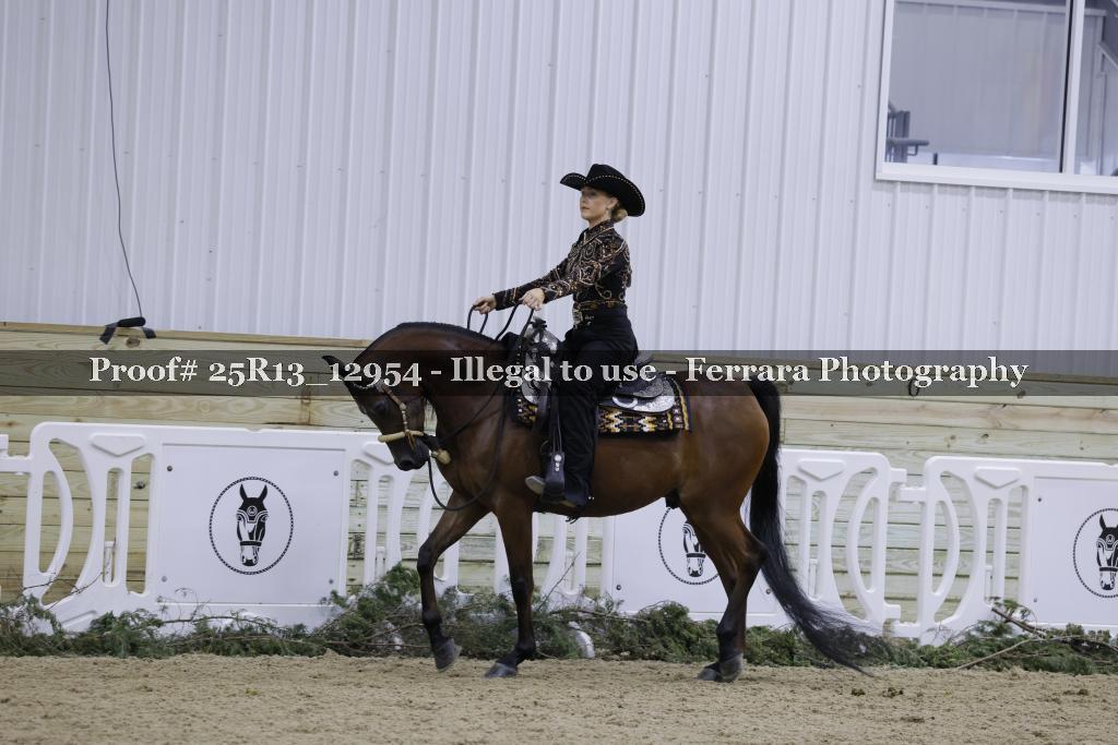 Proof 25R13_12954