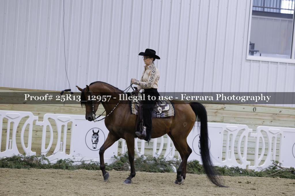 Proof 25R13_12957