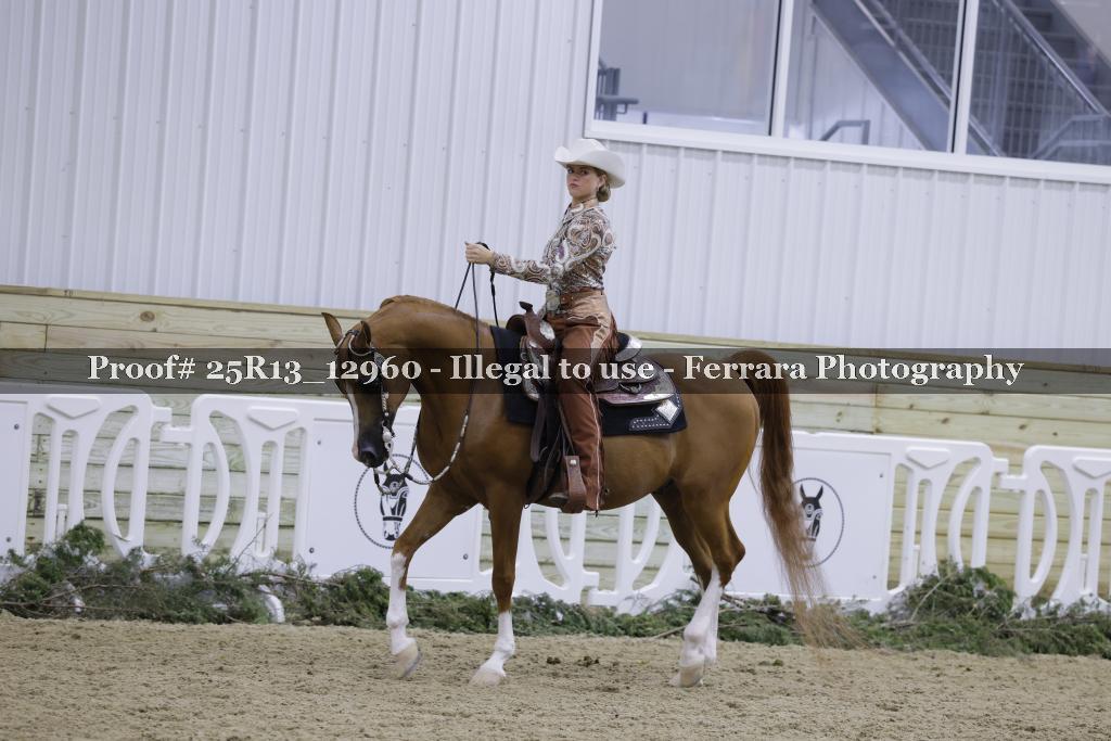 Proof 25R13_12960