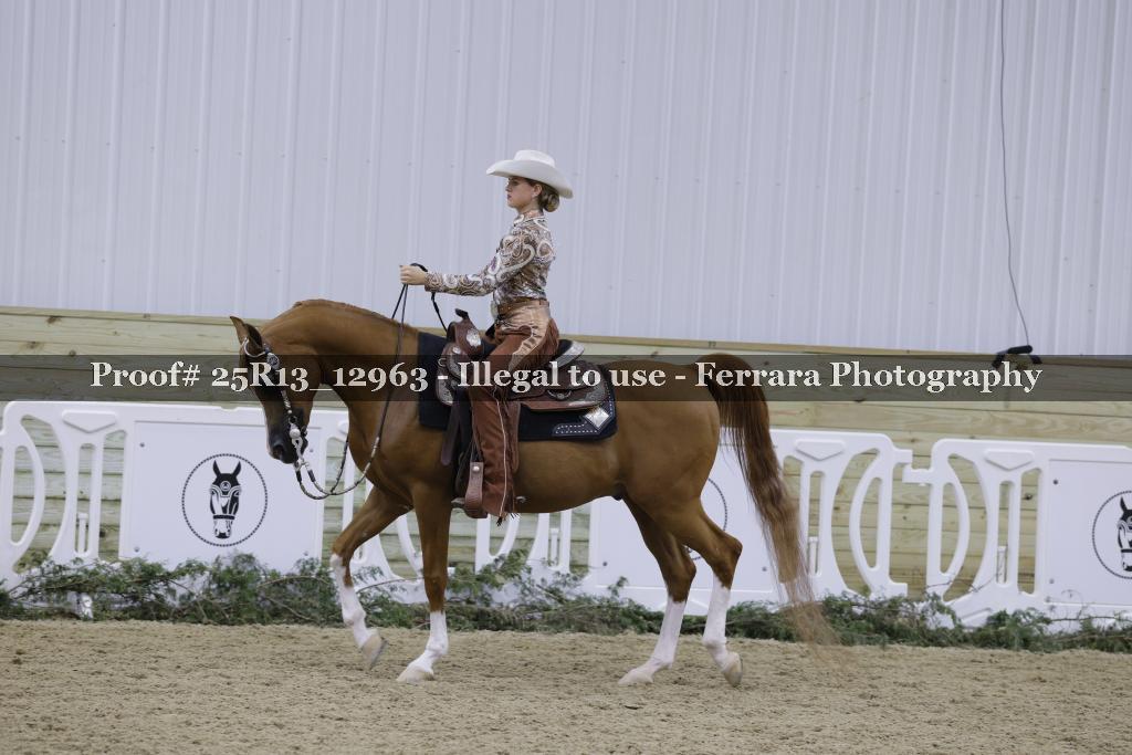 Proof 25R13_12963