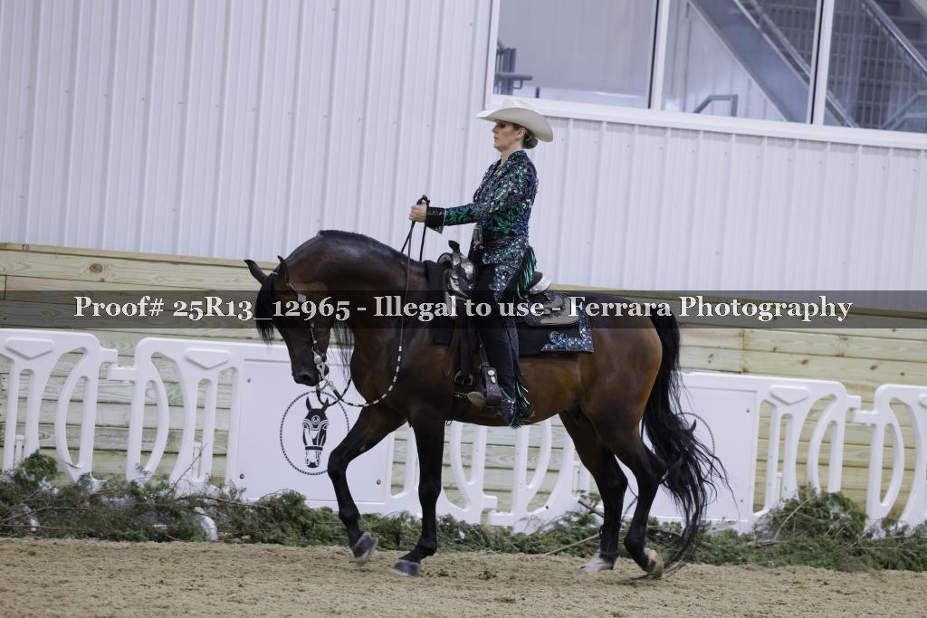 Proof 25R13_12965
