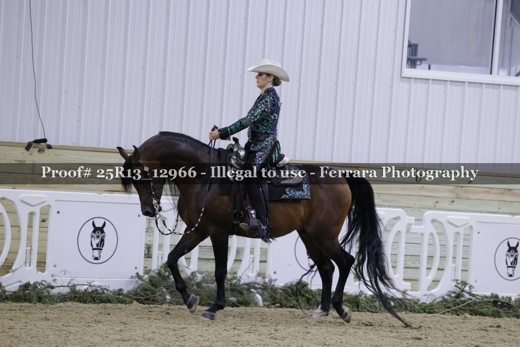 Proof 25R13_12966