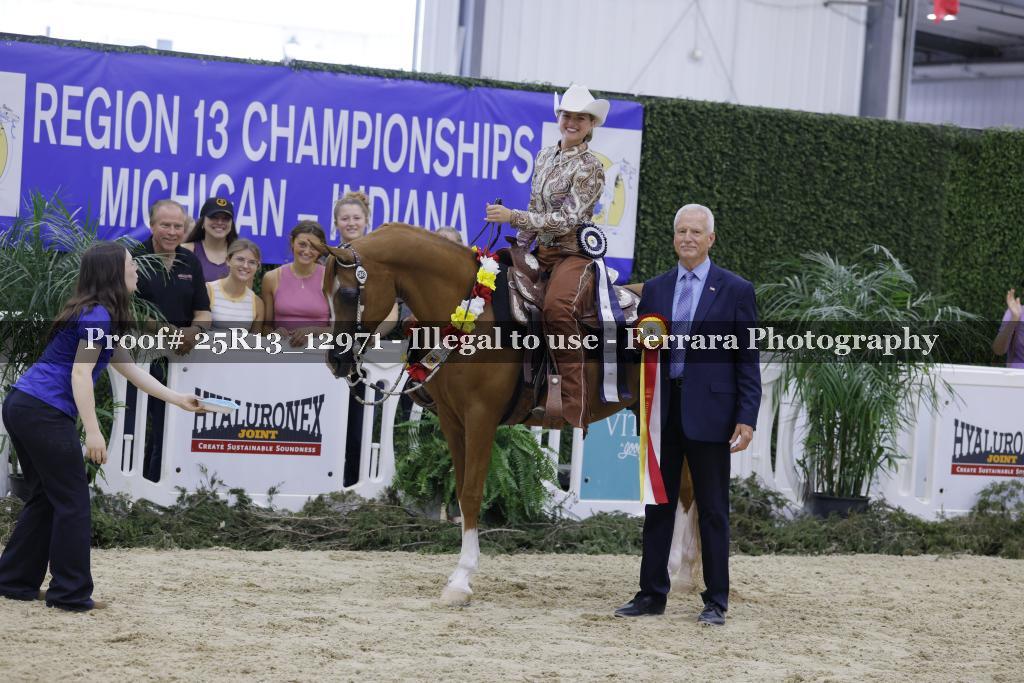 Proof 25R13_12971