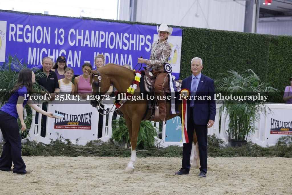 Proof 25R13_12972