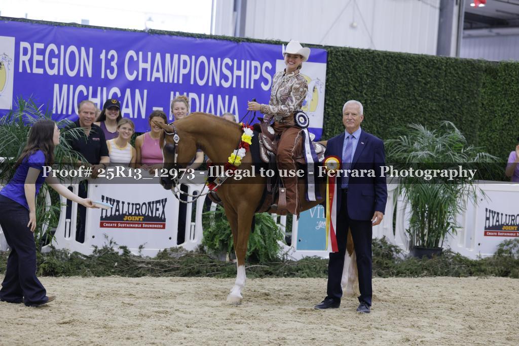 Proof 25R13_12973