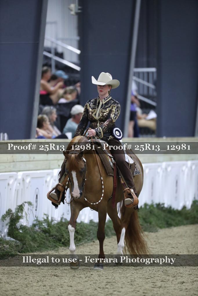 Proof 25R13_12981