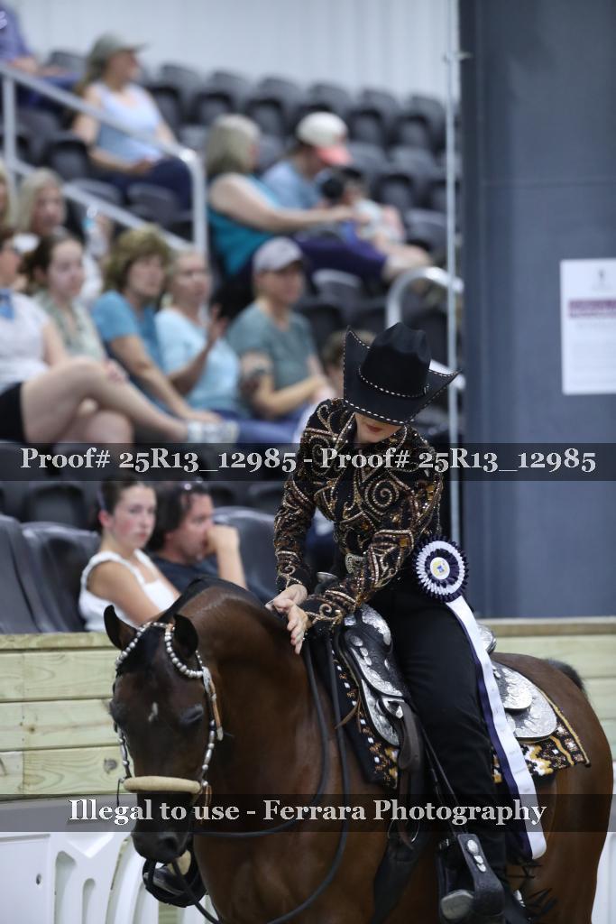 Proof 25R13_12985