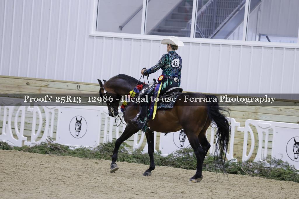 Proof 25R13_12986