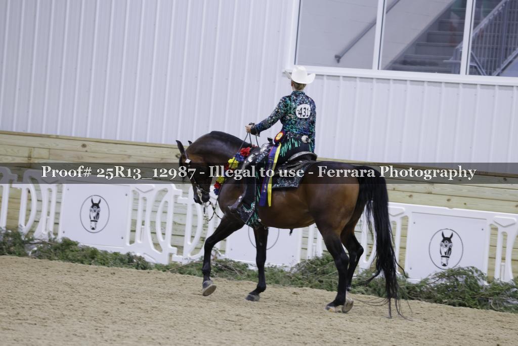 Proof 25R13_12987