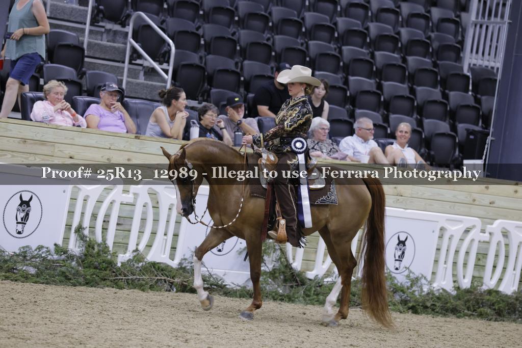 Proof 25R13_12989