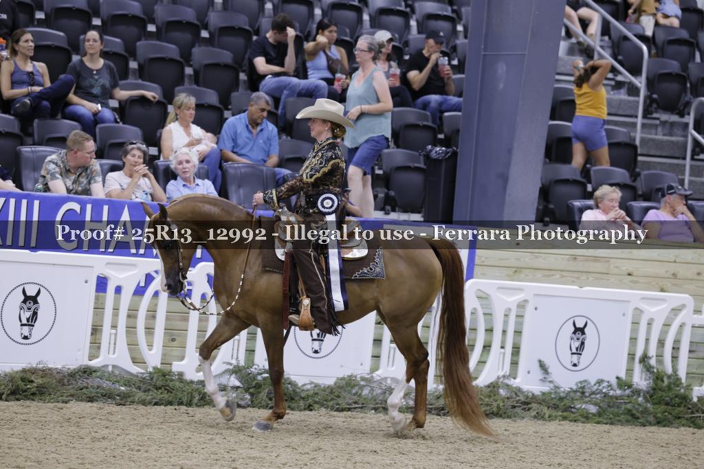 Proof 25R13_12992