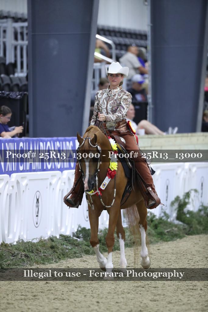 Proof 25R13_13000