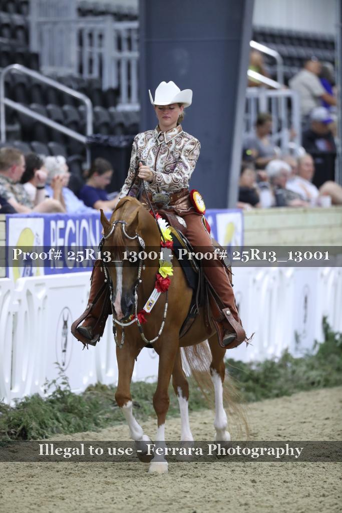 Proof 25R13_13001